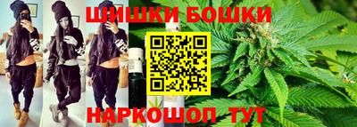 молекула духа Будённовск