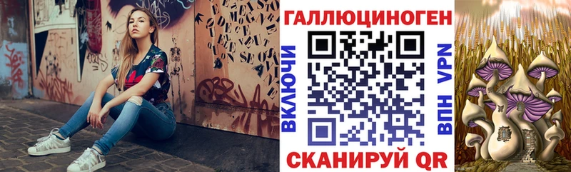 Галлюциногенные грибы Psilocybe купить закладку Кушва
