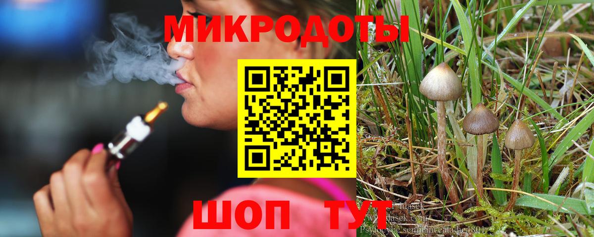 Галлюциногенные грибы Cubensis  Вход с VPN  Кушва 