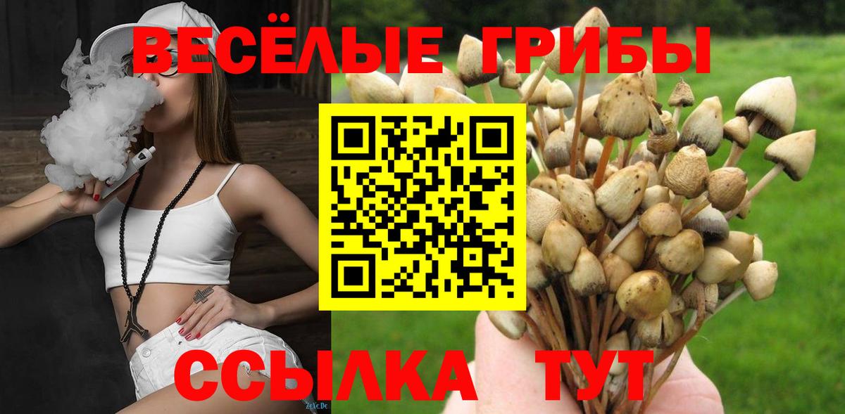 Псилоцибиновые грибы Cubensis Кушва